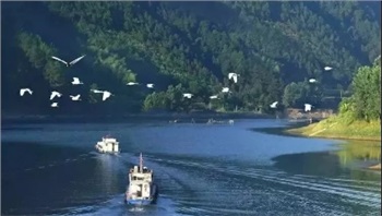 益陽安化?天下茶道、云臺山、茶香花海2日游