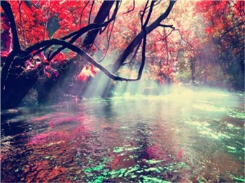 貴州-黃果樹瀑布、荔波大小七孔、西江千戶苗寨5日游