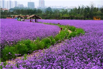 長(zhǎng)沙?華誼兄弟電影小鎮(zhèn)、李自健美術(shù)館一日游