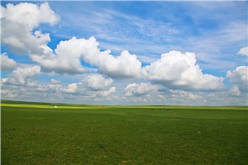 (人氣草原、5A響沙灣、歡樂牧場(chǎng)、內(nèi)蒙古博物院、夢(mèng)幻水世界)雙飛5日親子游