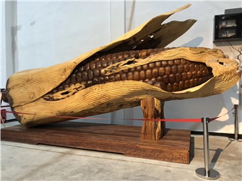 　益陽天意木國(guó)+現(xiàn)代農(nóng)業(yè)嘉年華汽車一日游