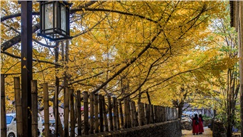 長沙直飛騰沖、瑞麗、芒市雙飛六日游