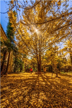 長沙直飛騰沖、瑞麗、芒市雙飛六日游