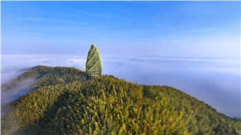 益陽(yáng)清溪村、桃花江竹海一日游