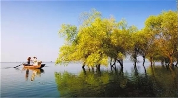 春暖花開(kāi)南洞庭踏青、云夢(mèng)七色花洲一日游  
