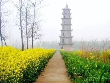 春暖花開南洞庭踏青、云夢七色花洲一日游  