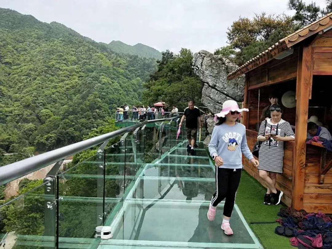益陽安化?天下茶道、云臺山、茶香花海2日游