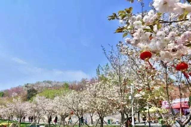 長(zhǎng)沙潯龍河櫻花谷、田漢文化園一日游