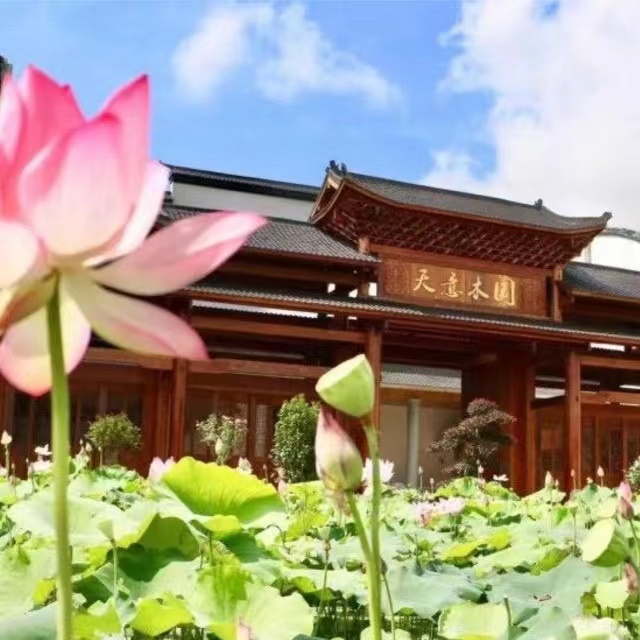 益陽(yáng)天意木國(guó)木文化博物館、金家堤、一碑五館一日游