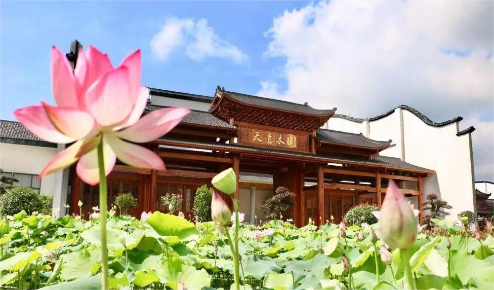 清溪村、天意木國景區(qū)、明清古巷、市博物館、胡林翼故居二日游